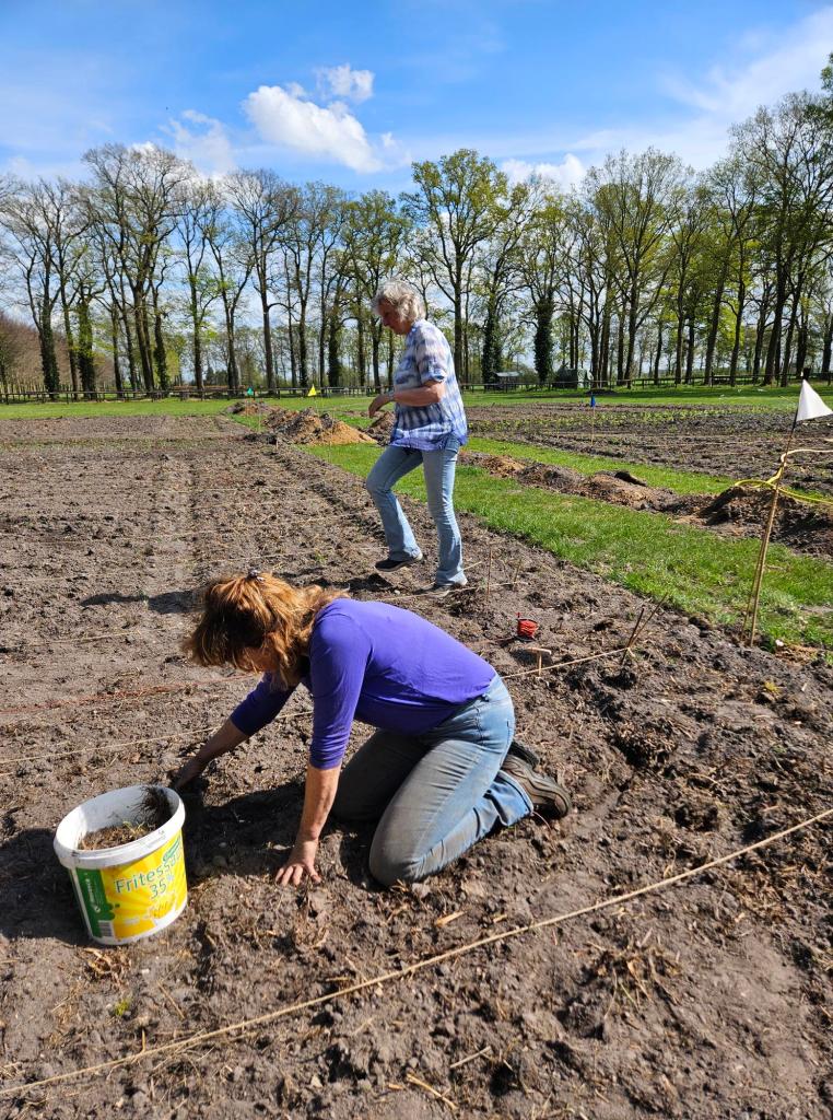 landgoed vosbergen moestuin heerde